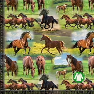 Vackra Hästar På Landet